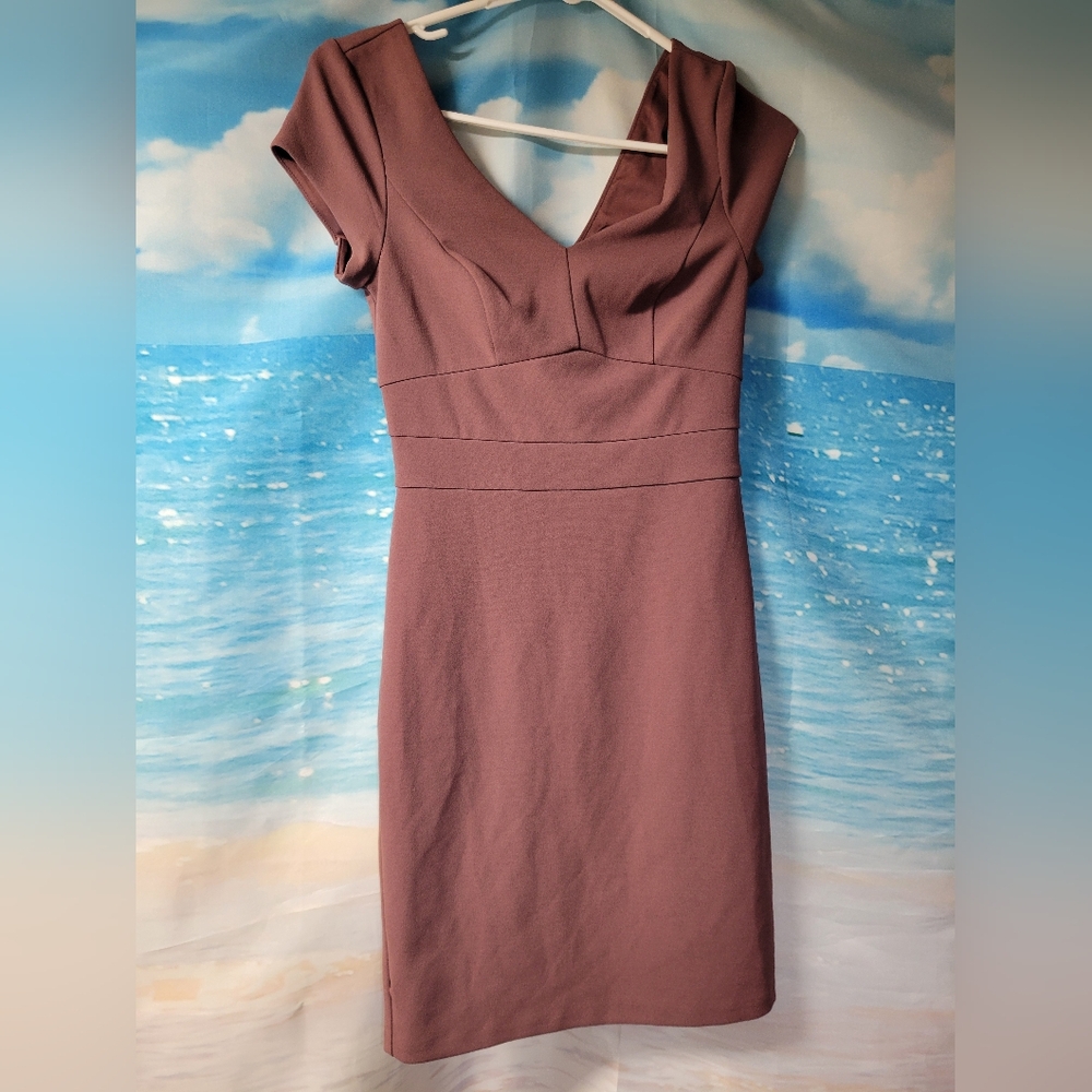 Express NWOT Mauve Short Sleeve V neck‎ Bodycon Mini Dress Size XXS